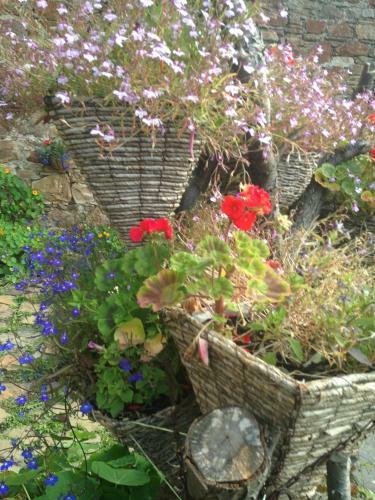 Bed & Breakfast Belstane House