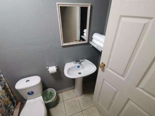 Apartamento The Avocado Inn