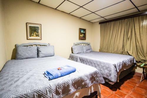 Apartamento The Avocado Inn