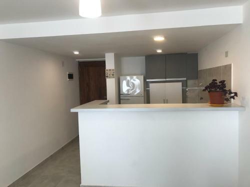 Apartamento Departamento C�ntrico Con Vista Al Lago