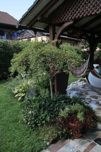 Homestay Sre?