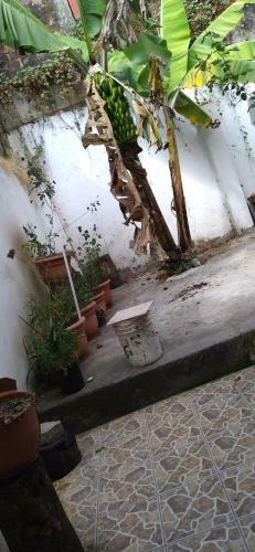 Hostal El Carmen