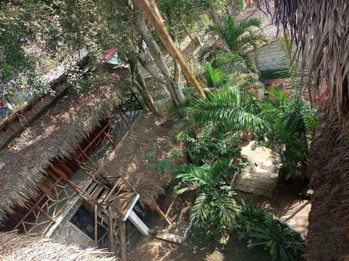 Hotel Nunkai Eco-hostal & Caf� Bosque