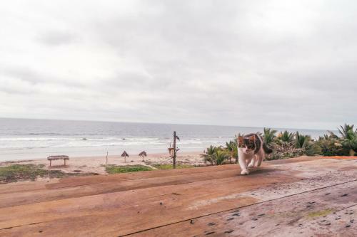 Hotel California