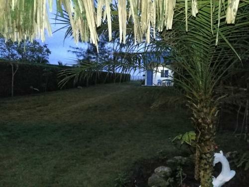 Apartamento Port�n Azul