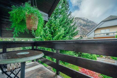 Apartma Borovc
