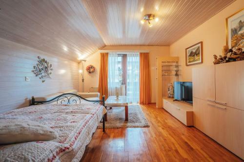 Apartma Borovc