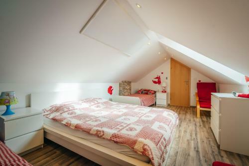 Apartma Borovc