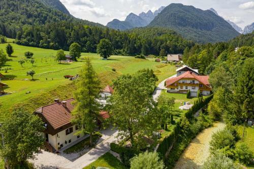 Apartments River Cottage Mojstrana