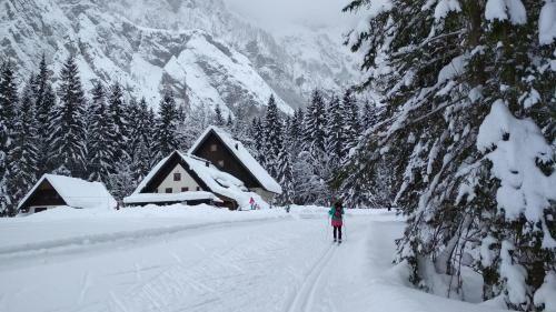 Apartments River Cottage Mojstrana