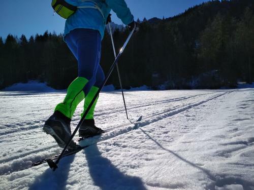 River Cottage Mojstrana