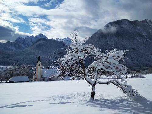 River Cottage Mojstrana