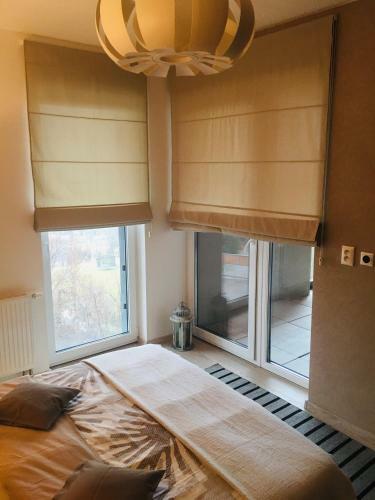 New Apartment With Private Parking, Tv & Internet