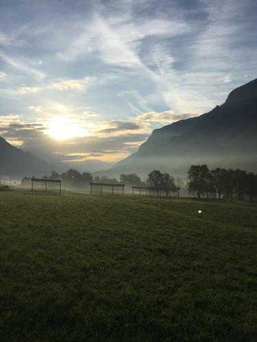 The Green House