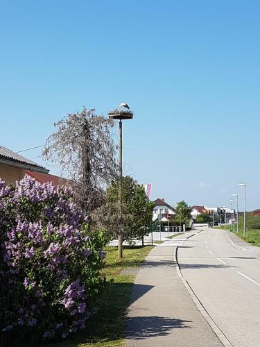 Apartment Velcom