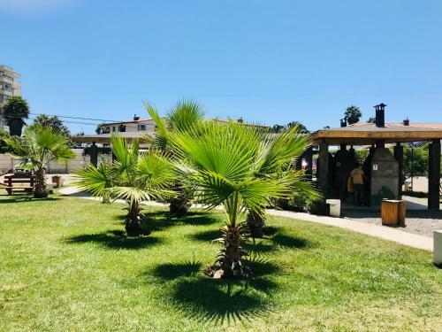 Apartamento Nicoland Playa Y Piscina La Serena