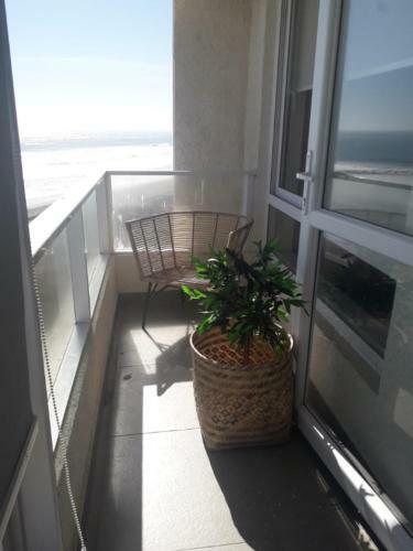 Apartamento Hermoso Departamento Laguna Del Mar