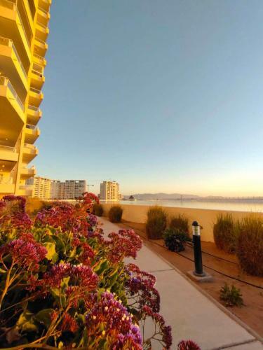 Apartamento Laguna Del Mar La Serena Chile II