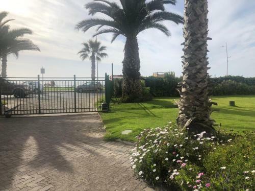 Apartamento Departamento Av Del Mar Albatros 41