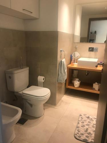 Apartamento Aliwen Rauli
