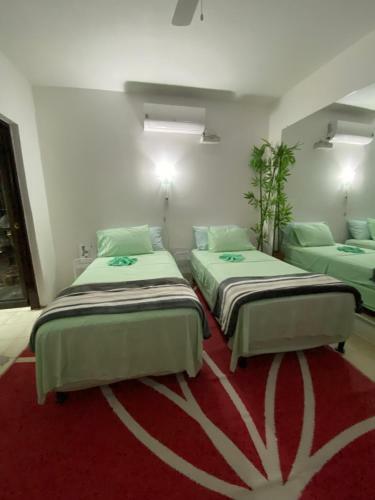 Hostal Casa Bolonia