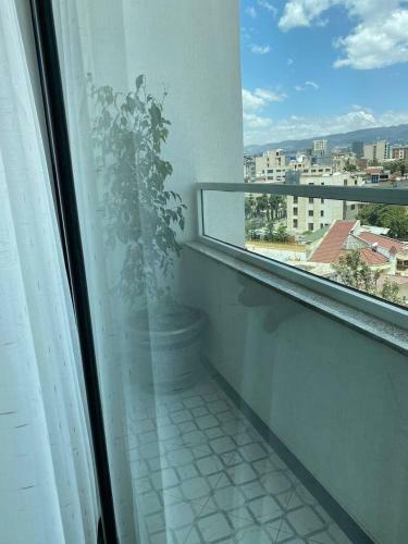 Hotel Ecco Modern Guest House