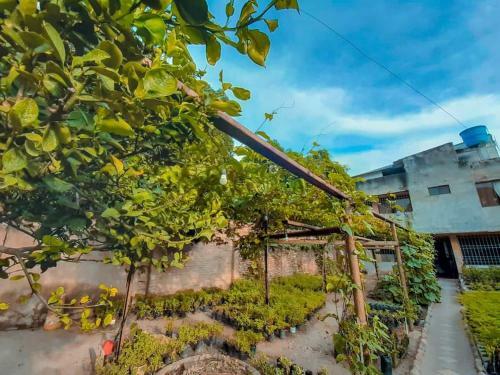 Hostal Ecostal Entre Serran�as