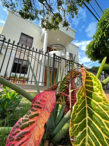Casa Blanca Incre�ble (casa Completa)