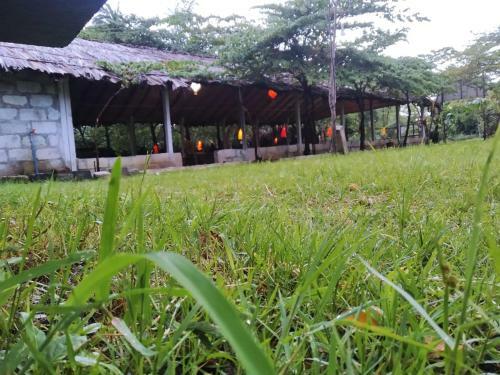 Woodstock 69 Home Stay & Cafe