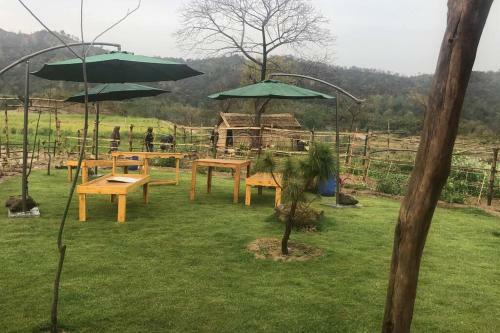 Agroturismo Suvarsha Greens Mohali