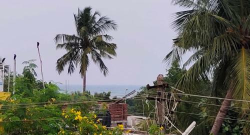 Hostal Mm Gardens