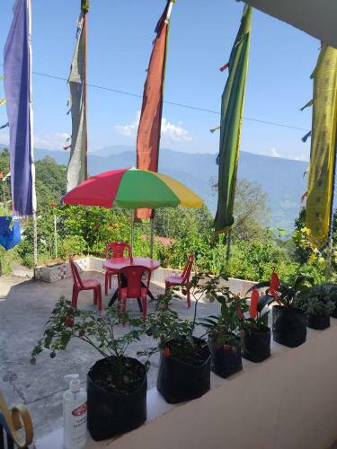 Norma Homestay