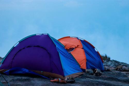 Wayanad Backpackers Camping