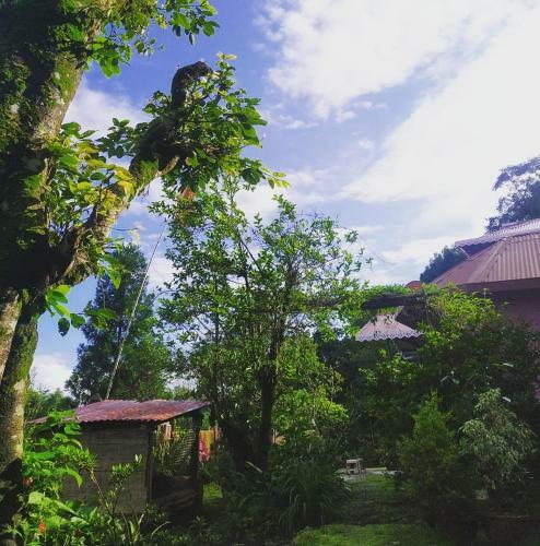 Aadhya Homestay