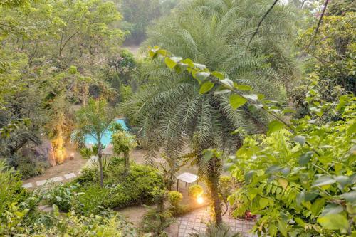 Villa Hostie Chinar Haveli - Heritage Home With Pool, Gurgaon