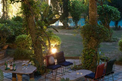 Villa Hostie Chinar Haveli - Heritage Home With Pool, Gurgaon