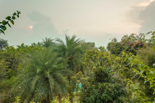 Villa Hostie Chinar Haveli - Heritage Home With Pool, Gurgaon