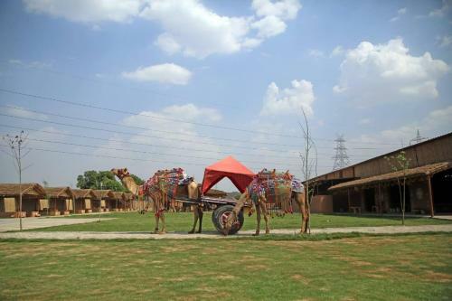 Agroturismo Madhavgarh Farm