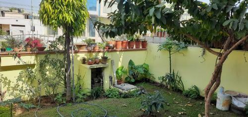 Bed & Breakfast Padmalayabnb