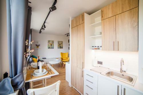 Apartament Zdrojovy
