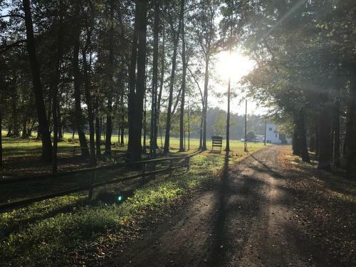 Agroturystyka Nad Stawem