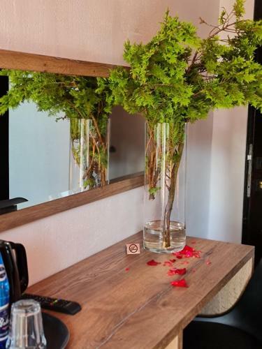 Hostal Villa Slavia