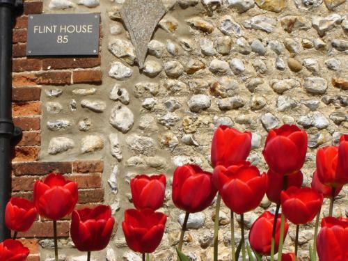 Bed & Breakfast Flint House
