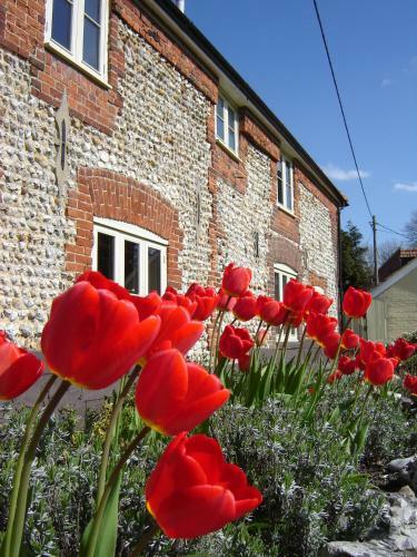 Bed & Breakfast Flint House