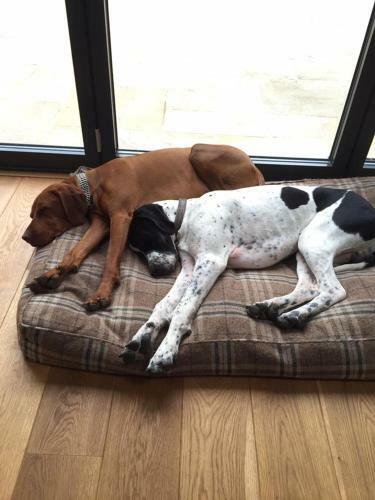 Bed & Breakfast Flint House