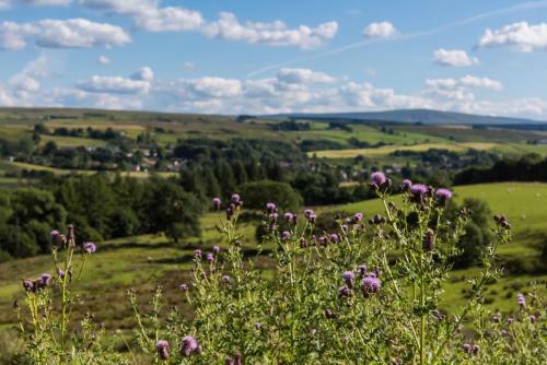 Gilsland Spa Hotel