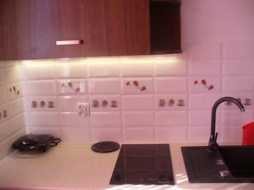 Apartamento Willa Floryn