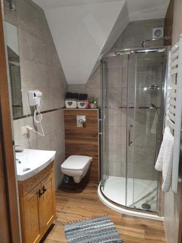 Willa Pasieka Apartamenty Domki