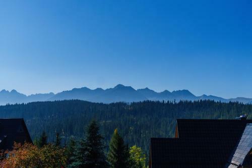 Domki Widok�wka