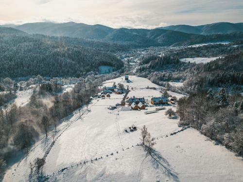 Bed & Breakfast Pod Brzozka